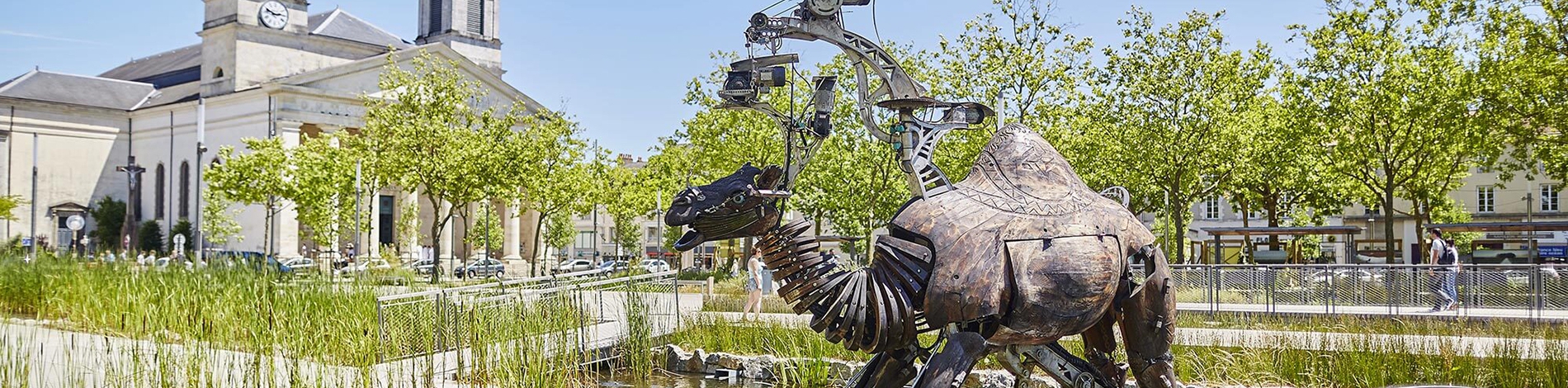 lamoureux_dromadaire