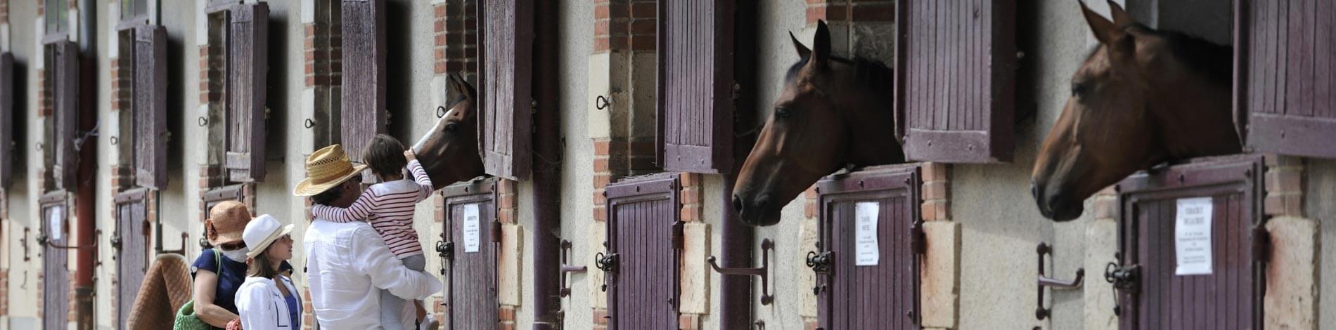 PhotoCrédit-Photo-Pascal-Baudry-2016w