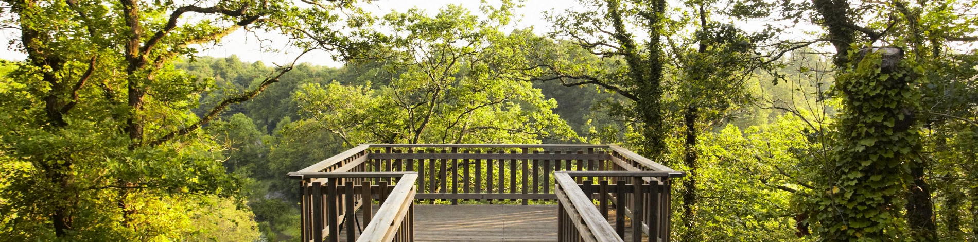 Photo Alexandre Lamoureux