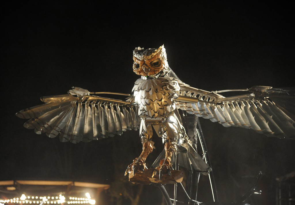 chouette_nocturne_la_roche_sur_yon