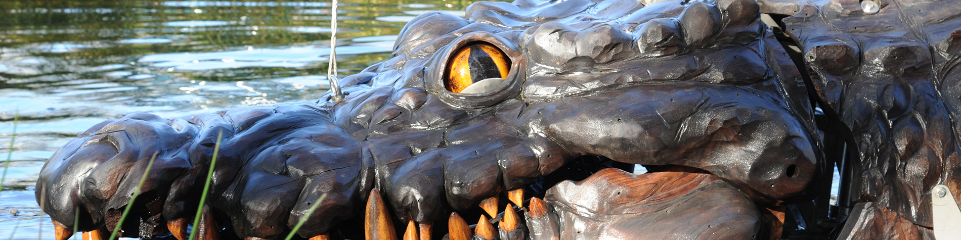 crocodile_animaux_place