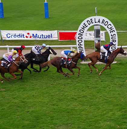 hippodrome_terres_noires_page_partenaire