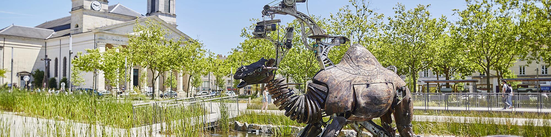 lamoureux_dromadaire