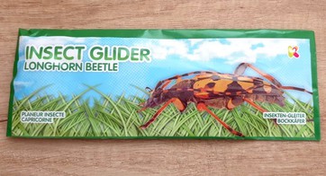 Capricorne insectes volants