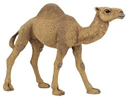 Figurine_Dromadaire
