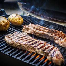 Sommaire Grill Rôtisserie