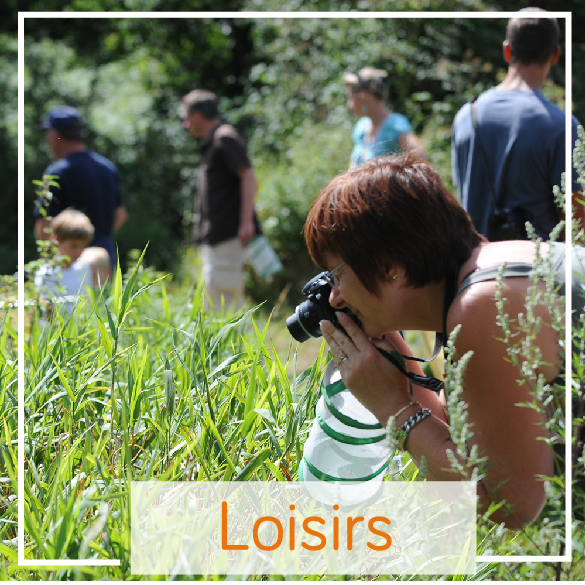 vignettes partenaires-04