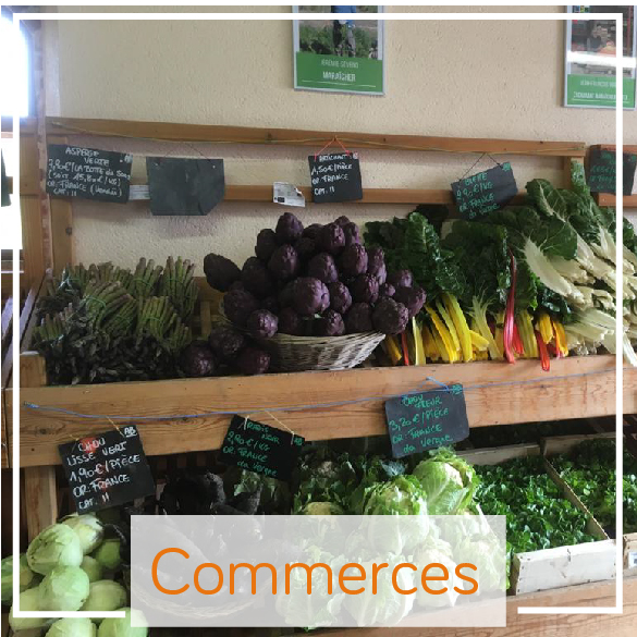 vignettes partenaires-06