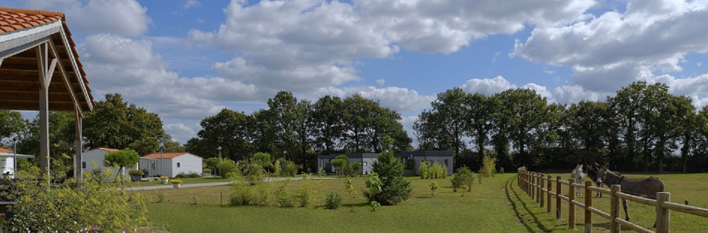 HPAPDL085V5031GF - 01A VUE PANA OCT