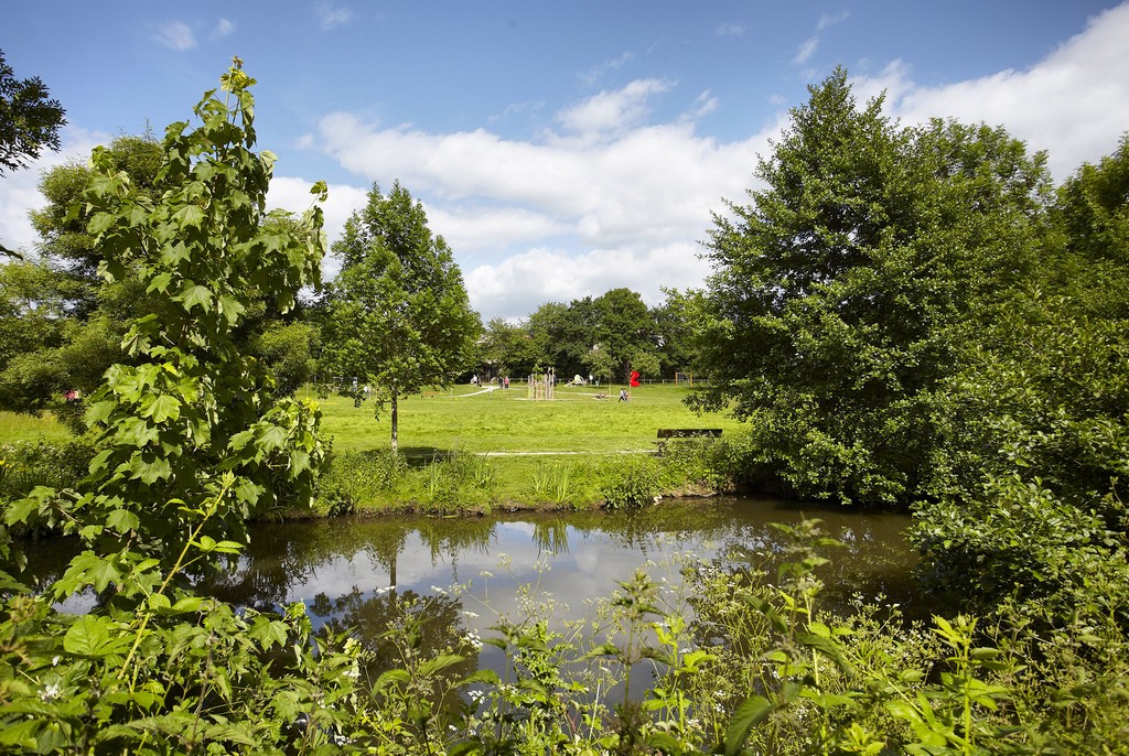 Alluchon-la-roche-sur-yon-85-pcu-1