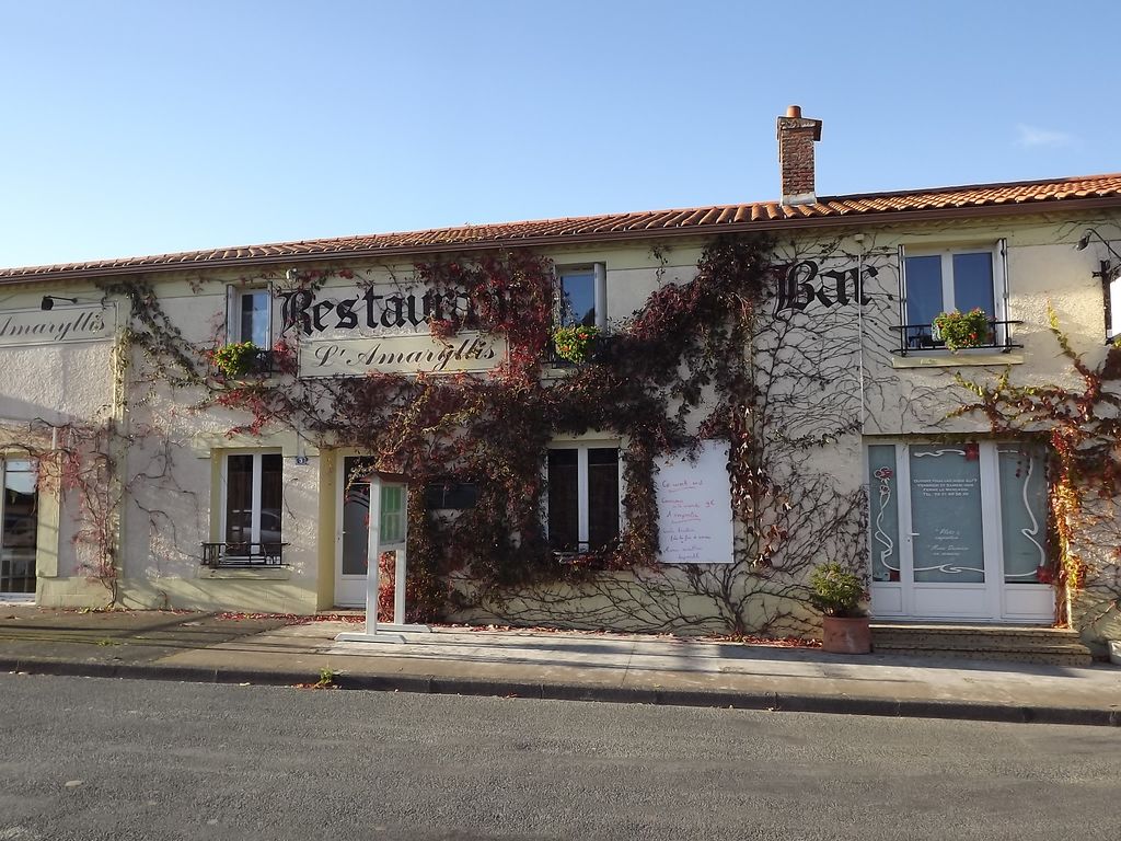 Amaryllis-nesmy-85-res