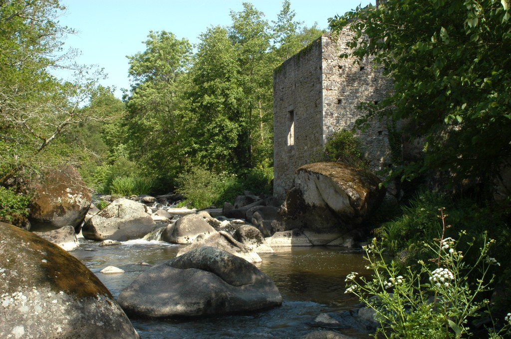 Piquet-le-tablier-85-pna-3