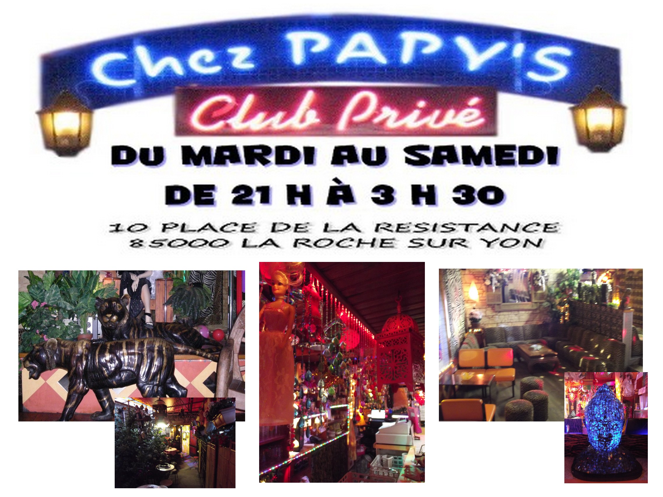 LOIPDL085V5037PL - pub