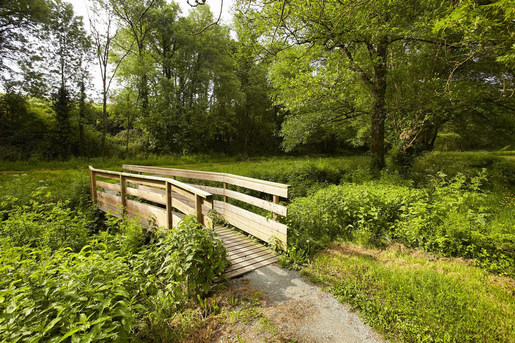 sentier-du-marillet-la-chaize-le-vicomte-85-pna-2